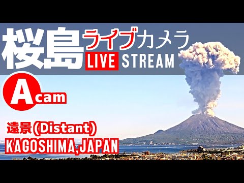 桜島とフェリーのライブカメラ映像