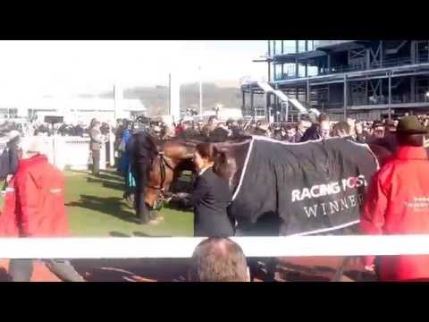 The Arkle winner Un de Sceaux..