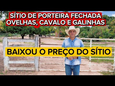 BAIXOU O PREÇO DO SÍTIO. OPORTUNIDADE IMPERDÍVEL. JAÍBA-MG 