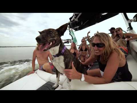 2016 Centurion Boats Enzo FS44