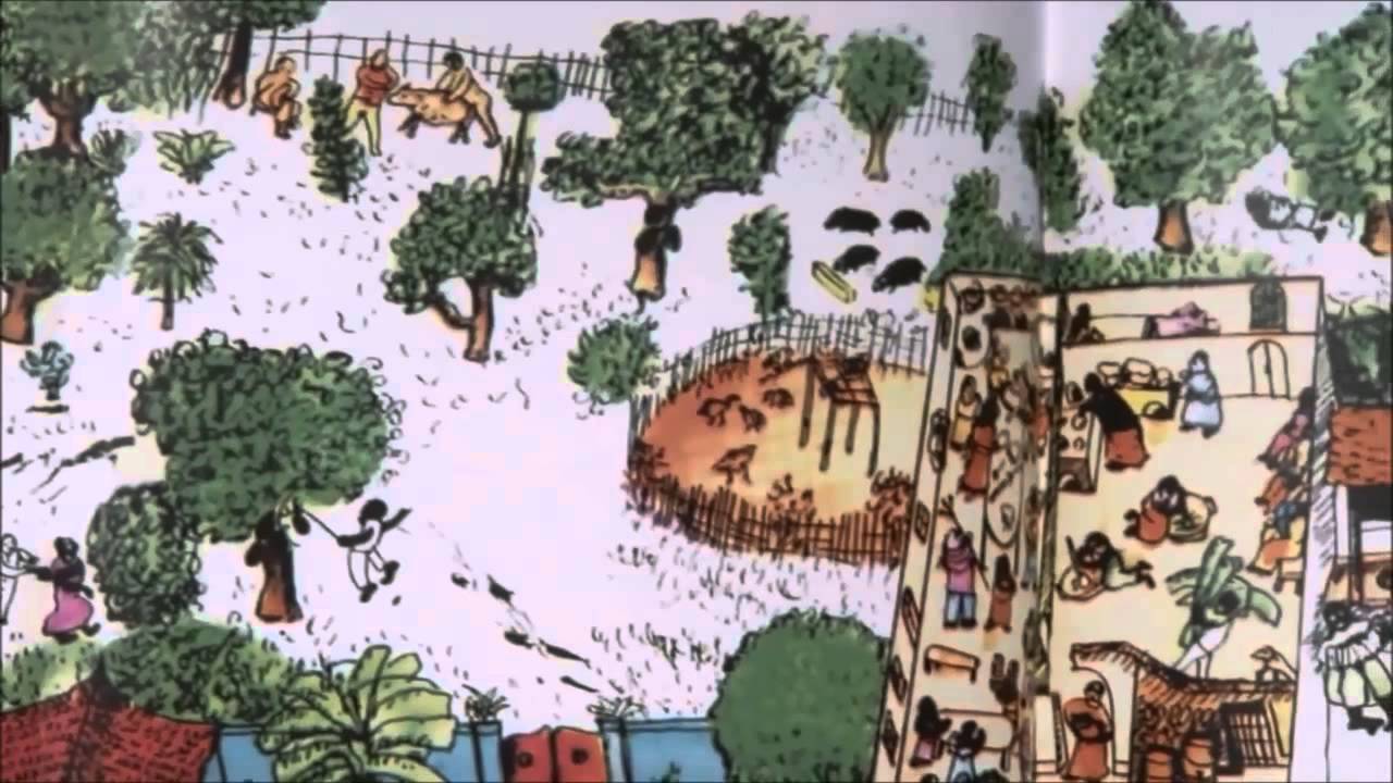 Casa-Grande e Senzala - edição para aula