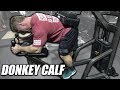Exercises Index - Donkey Calf Raises