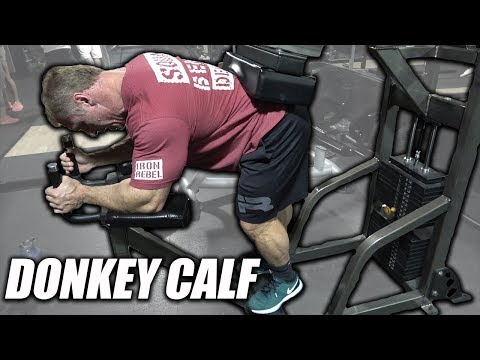 Exercise Index - Donkey Calf Raises