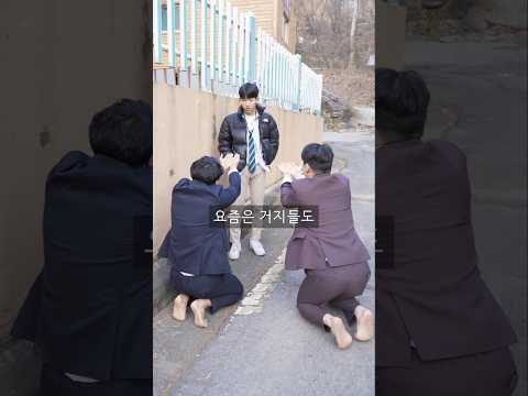 비디오 7