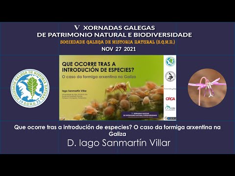 Vídeo: Que ocorre tras a introdución de especies? O caso da formiga arxentina