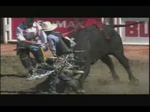 Untamed & Uncut - Almost Unbelievable*