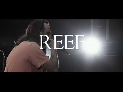 Reef - The new album "In Motion (Live from Hammersmith)"