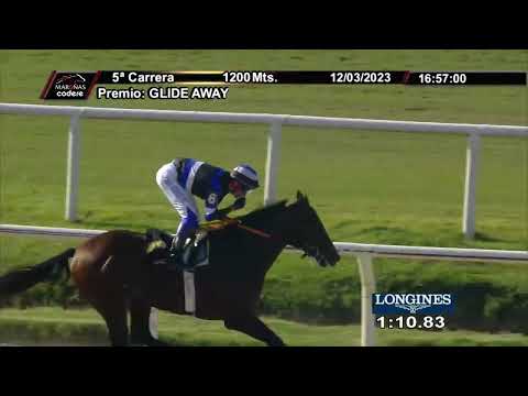 230312 c05 TUPUNGATO (BRZ)