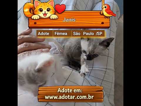 Vídeo de Janis
