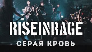 Rise in Rage — Серая кровь (Official HD Live Video)