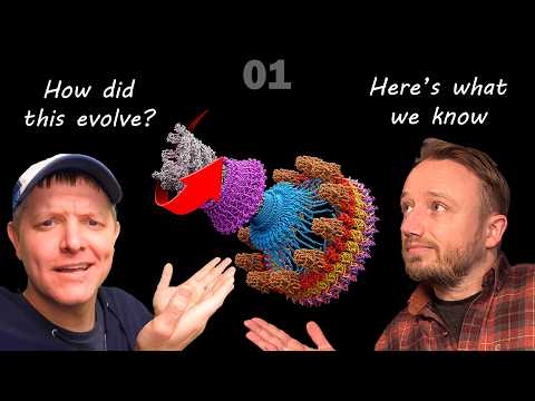 How did bacterial flagella evolve? 01: Here's what we know