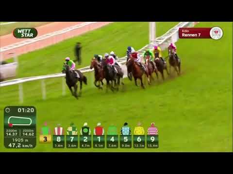 2025 Vente d'Elevage - Lot 360 - ISMAHANE - 2nd - Preis der WETTSTAR.de-App - Handicap - Köln