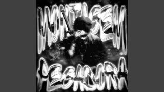 Download lagu MONTAGEM PEGADORA (TikTok Version) mp3