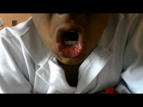 Alguien entiende algo //PEZLOCO EL crack\\