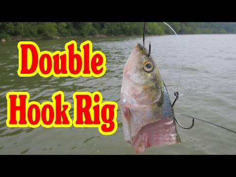 Double hook rig