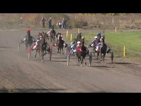 Trka "Fanta Crown" 20.10.2021 Beker - Novica Đorđević