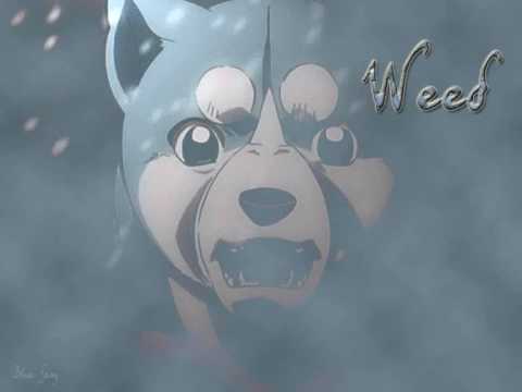 GDW Soundtrack - The moonlight - ending theme