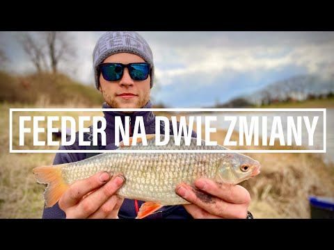 [088] Feeder na dwie zmiany 🔁🌜🌞