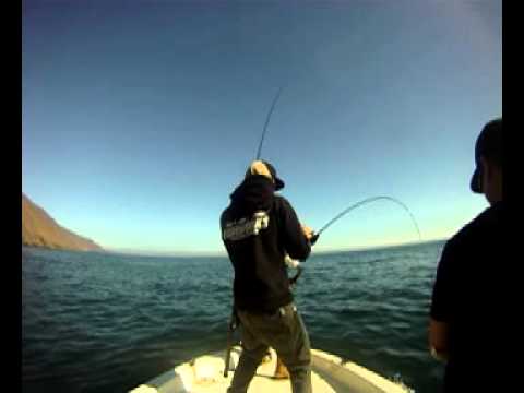 RadioSilenceFishing: The Good Life