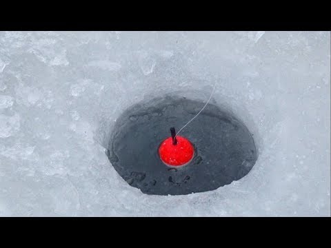 Зимняя рыбалка!Мороз -30!Хариус.Ленок.Оторвал мормышку.