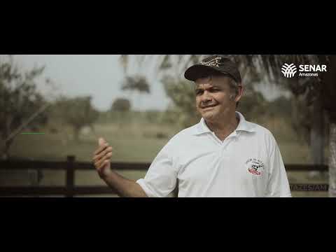 WEBSÉRIE ATEG - CAPÍTULO 01 - RUBERVAN PAIVA