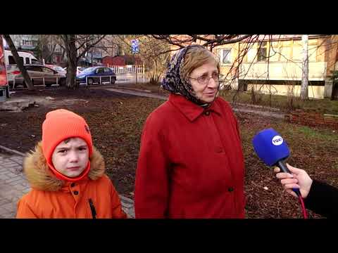 Ежедневно в центре Курска многолетний тополь подвергает опасности учащихся школы №5.