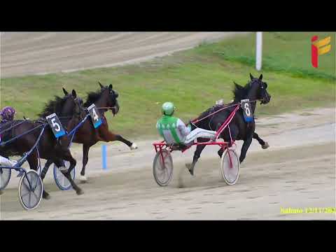 IV Corsa del 12 novembre 2022 - Cat. E - Metri 1600