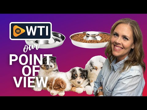 Thankspaw Stainless Steel Puppy Bowls - WTI product video review