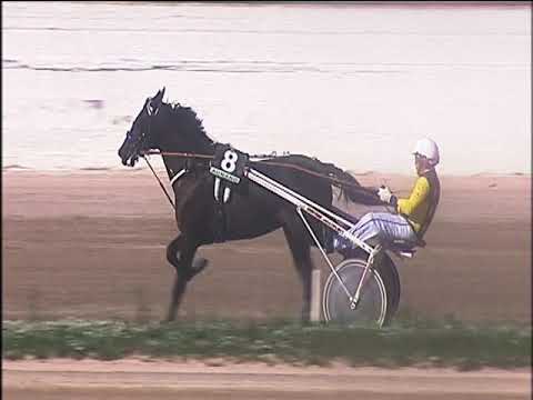 Trotto 04/10/2019 - 1ª corsa