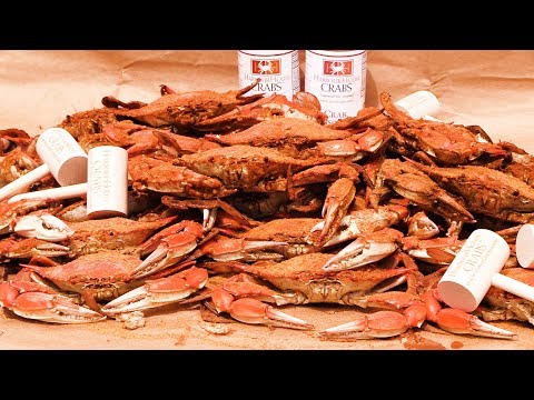 download lagu mp3 mp4 Live Maryland Blue Crabs For Sale, download lagu Live Maryland Blue Crabs For Sale gratis, unduh video klip Live Maryland Blue Crabs For Sale