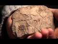 Treasures Of The UCLA Library Cuneiform Tablets Part 3 Of 5