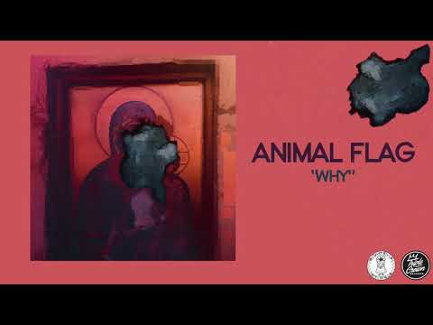Animal Flag - Why (Official Audio)