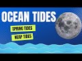 What Causes Ocean Tides Low Tide High Tide First Tide Second Tide Spring Tides Neap Tides