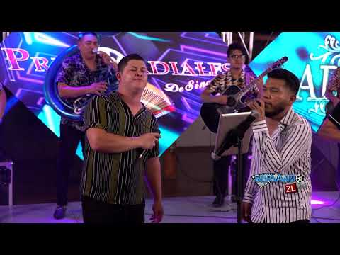 Adalid Lopez Ft. Primordiales De Sinaloa - Querido Hijo (En Vivo 2021)