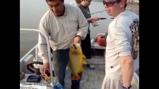 preview picture of video 'la mejor pesca en santa elena ( entre rios)'