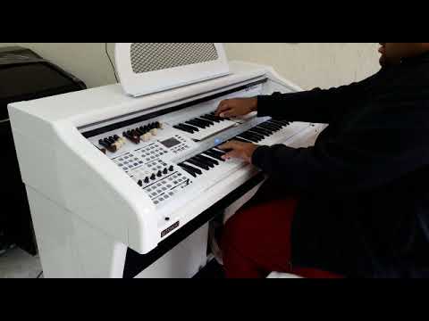 Orgão Eletrônico Tokai MD-750 GOLD - Loja Teclasom