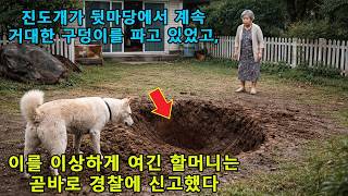 Download lagu 진돗개가 뒷마당에서 거대한 구덩이를 계속 파고 있었다… 근처에 살던 할머니는 결국 경찰에 신고했다 mp3