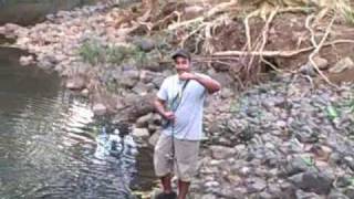 preview picture of video 'TROUTSIDERS: KAUAI - First Smallmouth Bass'