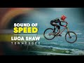 Is Luca Shaw The Smoothest Man In MTB Sound Of Speed