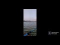 Sunset photos/Tamilnadu/Cuddalore/mangrove forest🌲/Pichavaram/Ajos World