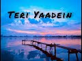 Teri Yaadein Lyrical Song Main Kaise Bhulu Chahat Ki Vo Barsaatein Pari Shorts