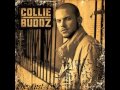 Collie Buddz -  Love Deh -  2007 Album
