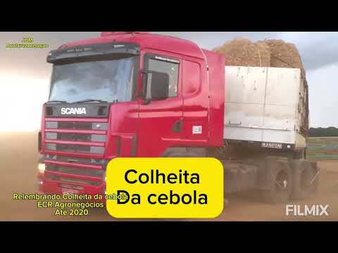 Lembranças da colheita de cebola até 2020 ECR agronegócios lagoa formosa mg 