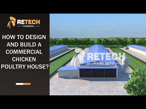 How to Design and Build a Commercial Chicken Poultry House? - RETECH Farming