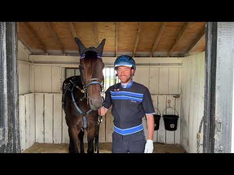 2023 Hambletonian Hopefuls -- Domenico Cecere --Winners Bet