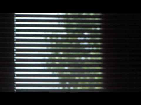 the wind blows wild again