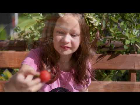 KORONA KASZUB Gabrysin