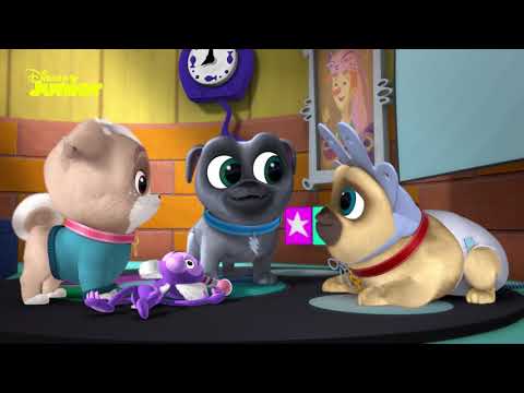 Puppy Playcare: Young Pups | Puppy Dog Pals 🐶 | Disney Junior Arabia