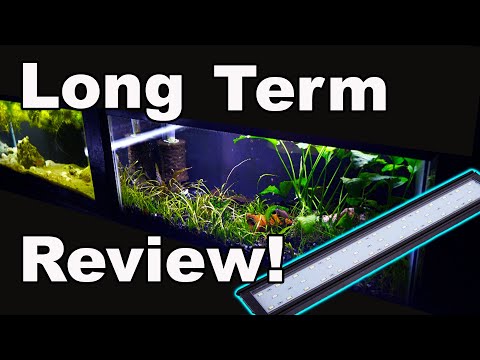 Hygger Aquarium Light Long Term Review: The Good AND The Bad