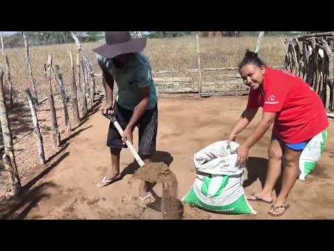 JUNINHO DE ANA LIMPANDO O CURRAL DA ESCADA COM SUA ESPOSA FABIANA RANCHO BARAÚNA SOLEDADE PB